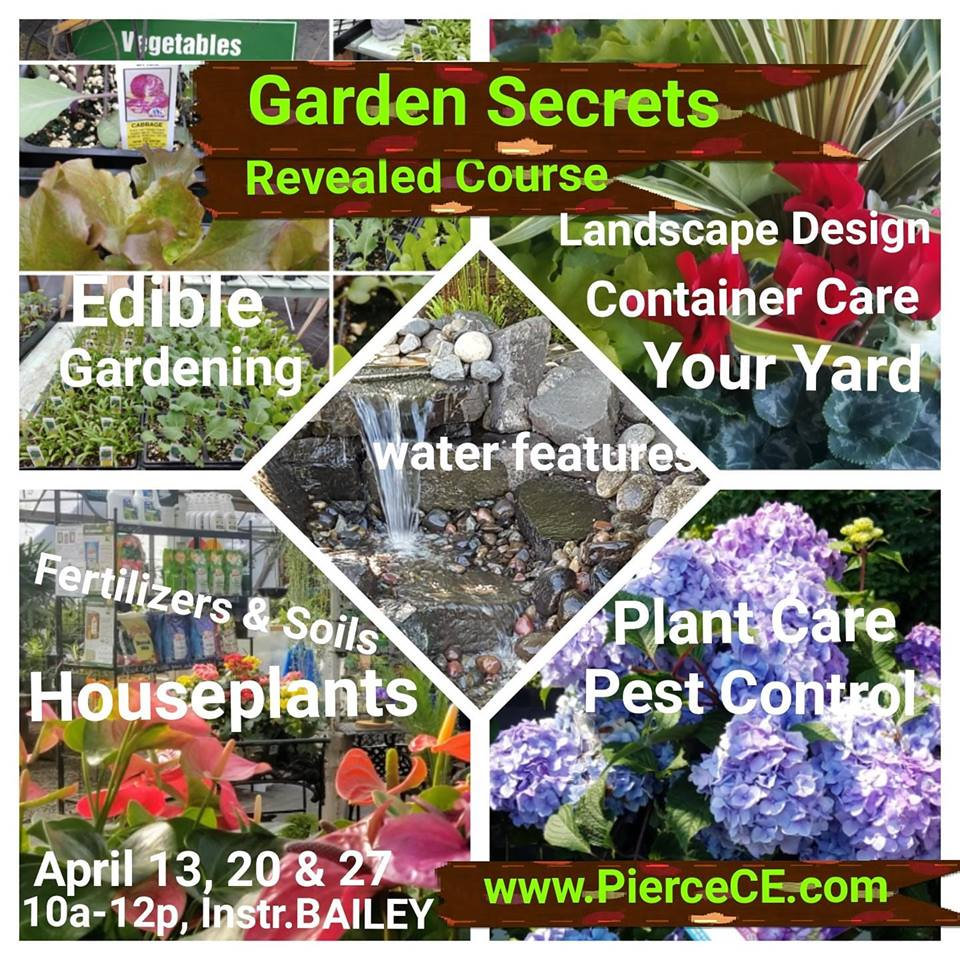 March- 7 Things to do in the Garden Now