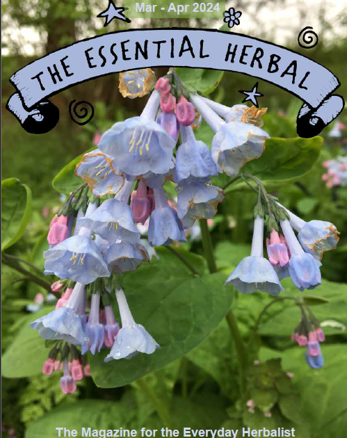 Essential Herbal, March/April 2024 issue