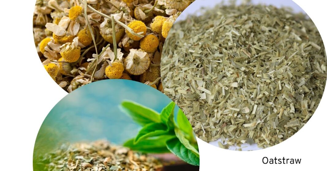 Backyard Patch Herbal Blog: Tea to Help you De-stress