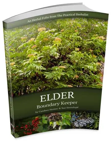Elder: Boundary Keeper