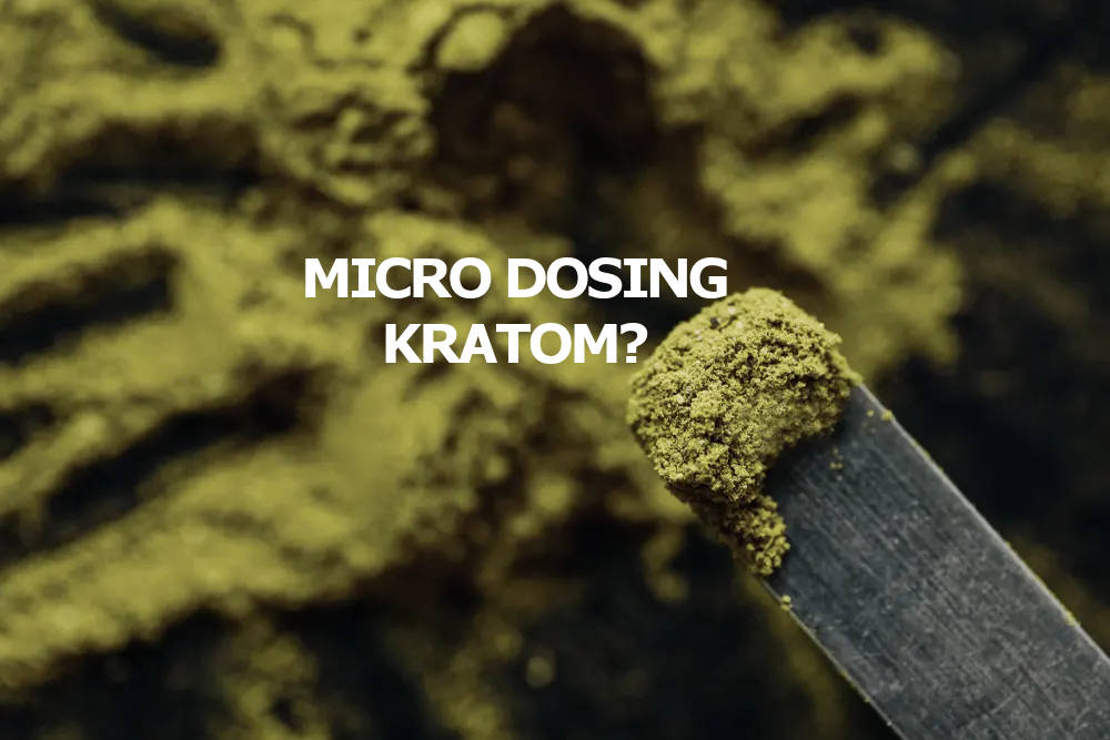 You are currently viewing Kratom Microdosing