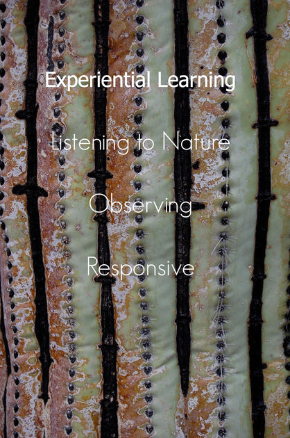 Choosing Experiential Learning
– Desert Tortoise Botanicals