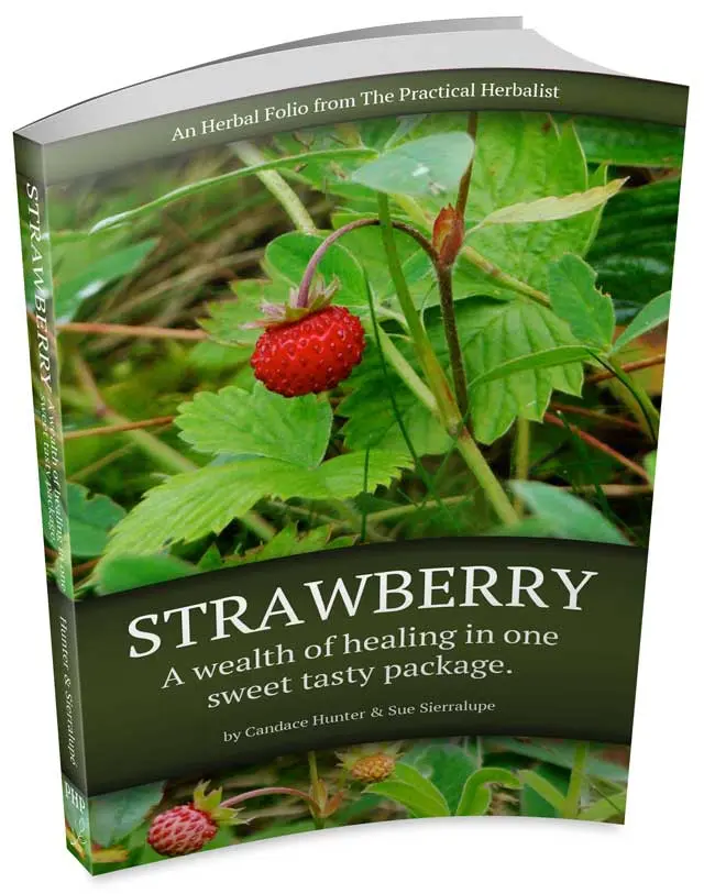 Strawberry: A Wealth of Healing in one Sweet, Tasty Package