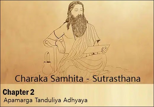 Charak Samhita - Sutrasthana - Chapter 2 (Apamarga Tanduliya Adhyaya) - Dr. Vikram's Blog