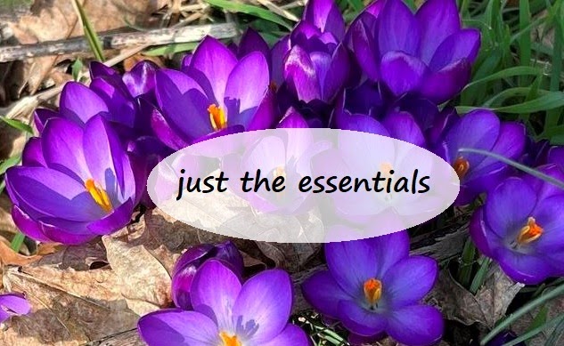 The Essential Herbal Blog: Just the Essentials