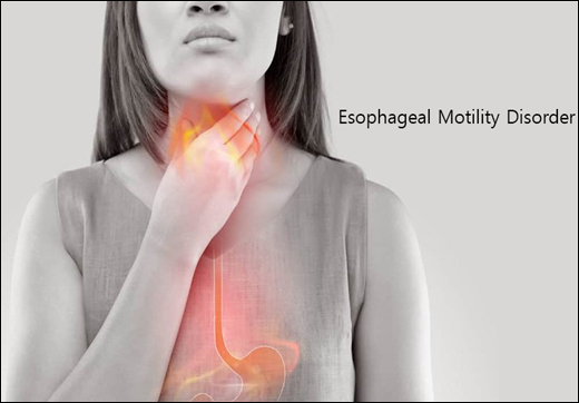 Esophageal Motility Disorder (EMD) & Its Ayurvedic Treatment With Herbal Remedies - Dr. Vikram's Blog