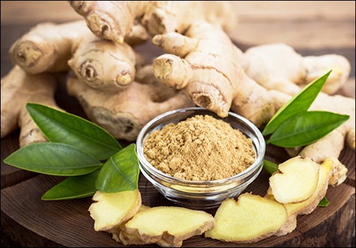 Ginger / Zingiber officinale - Nutritive Content, Uses & Health Benefits - Dr. Vikram's Blog