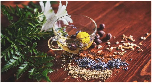 10 Common Misbeliefs About Herbal Healing