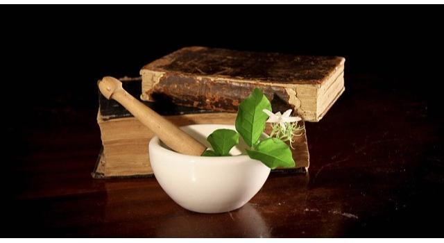 Creating Herbal Remedies: 7 Questions for Beginners