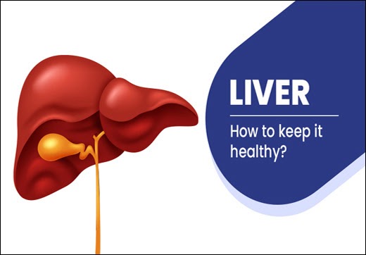 How to Keep Your Liver Healthy and Strong With Ayurveda - Dr. Vikram's Blog