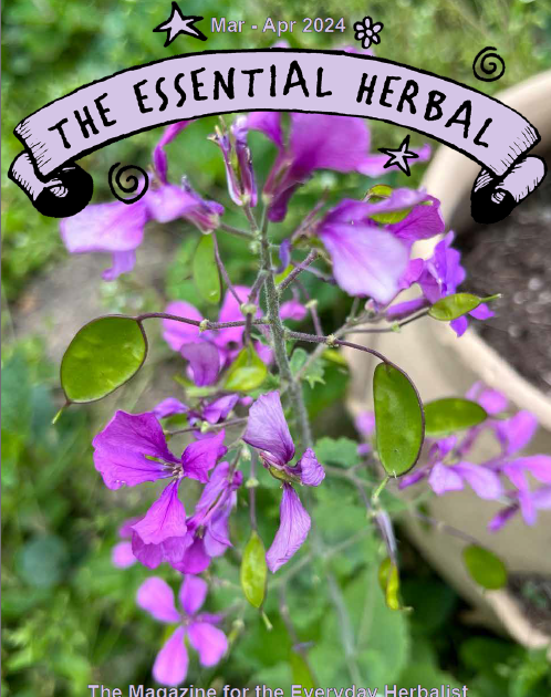 The Essential Herbal Blog: Essential Herbal May/June 2024