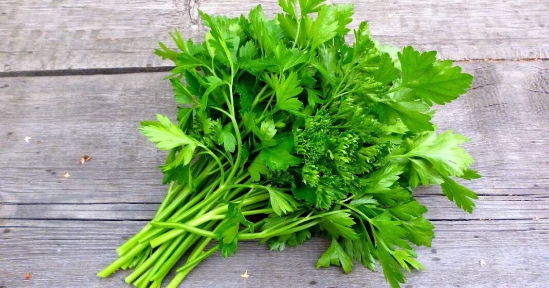 Parsley Supports Tumors, Heart, Eye Health and More.