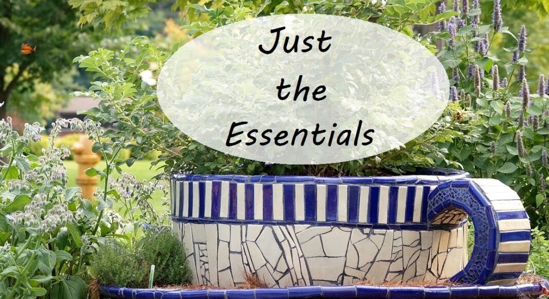 The Essential Herbal Blog: 5 Great Herbs to Start With