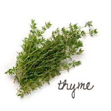 Thyme for Healing — Herbal Wisdom Institute