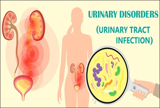 Clinical Significance Of Chandraprabha Vati In Urinary Disorders - Dr. Vikram's Blog